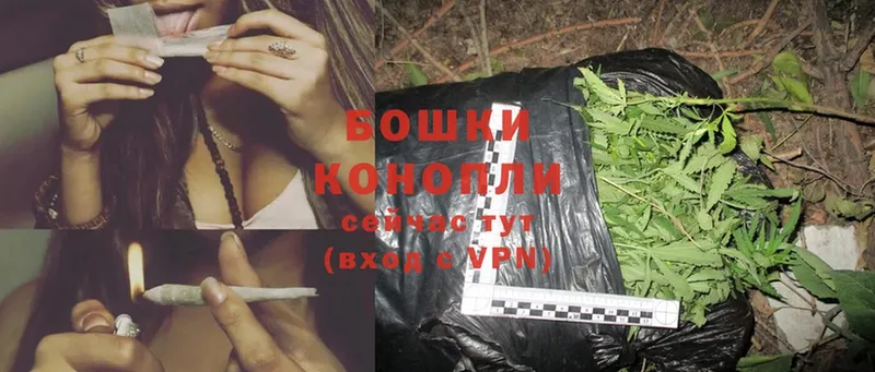 МАРИХУАНА Ganja  Вязьма 